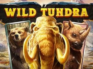 Wild Tundra screenshot