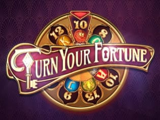 Turn Your Fortune screenshot